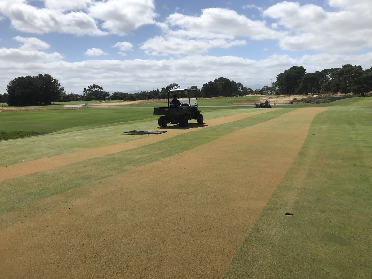 RAGC_Links's tweet photo. Great day for dusting, sand should disappear quickly with the extra growth from the recent weather. https://t.co/nOGStaiQev