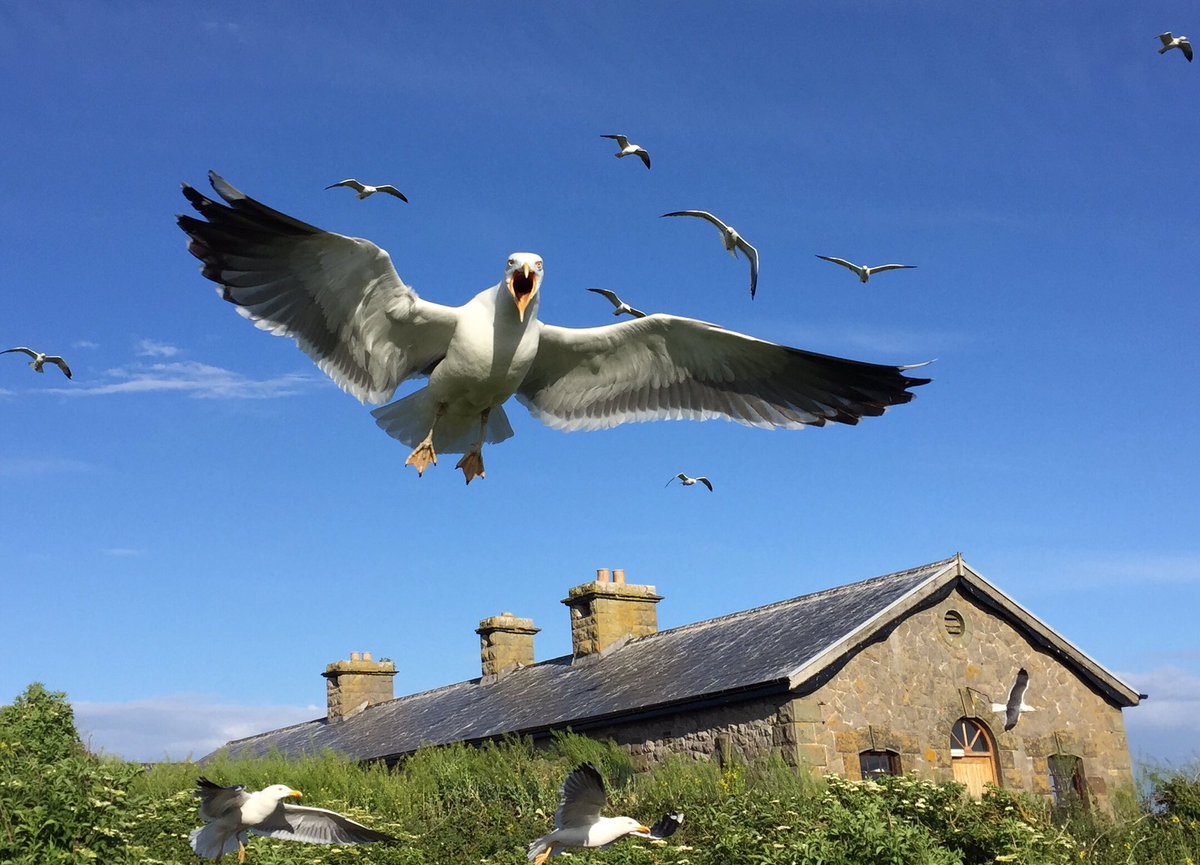 Captain Stardust tweet media