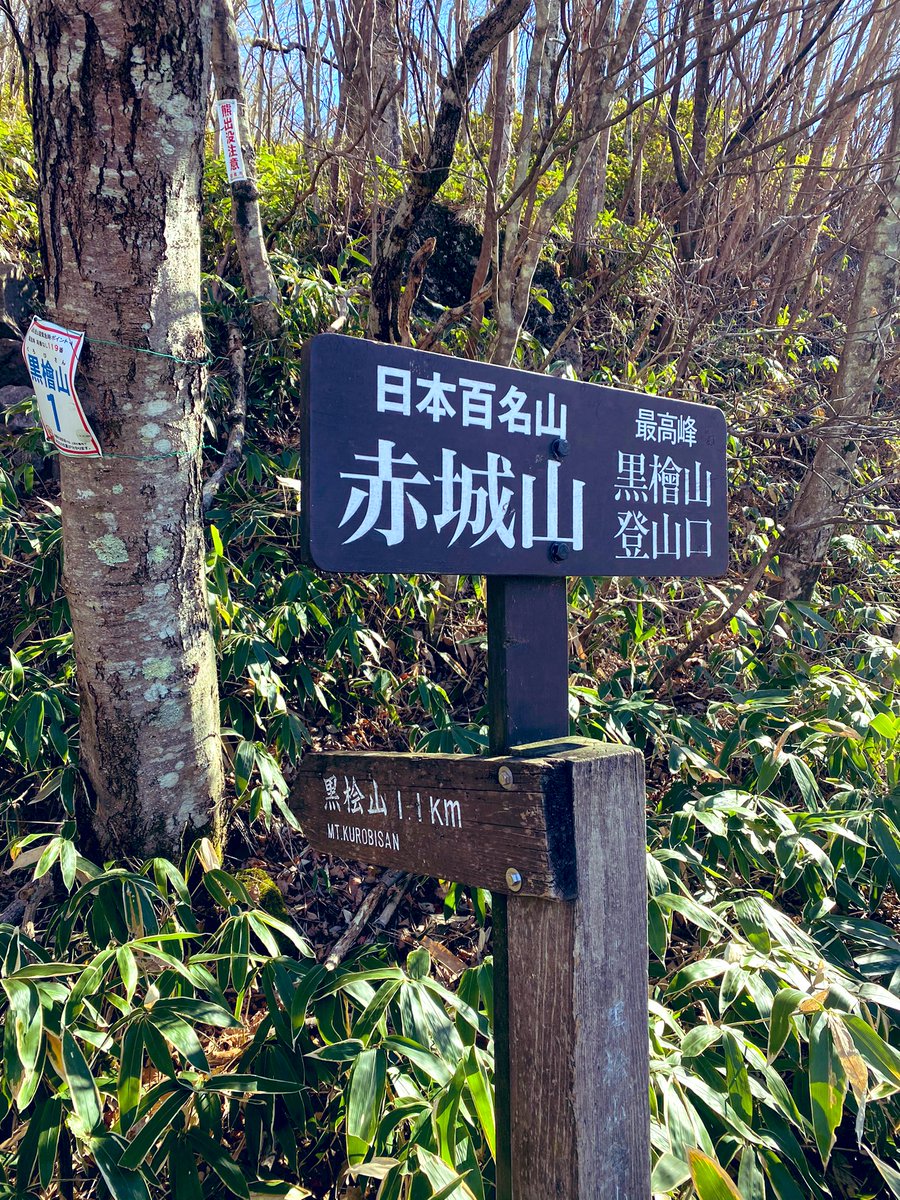 オーリー🇺🇸群馬ノマド釣りバカ日報 tweet media