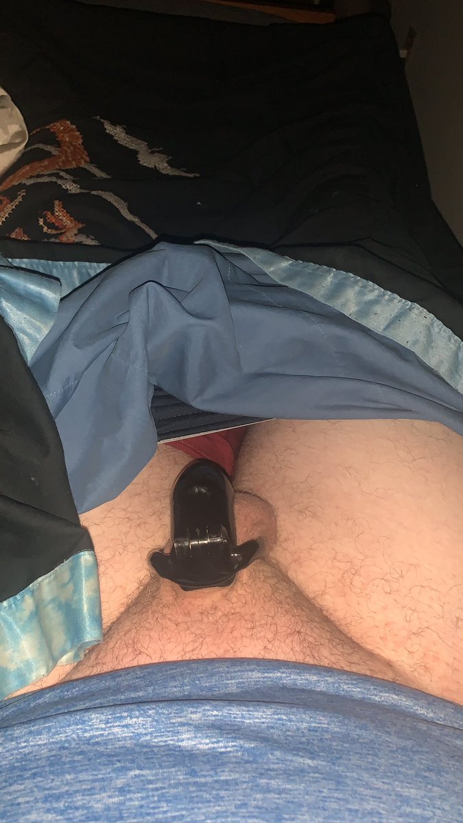 PBluepaw's tweet photo. Day 3!!! Going strong #chastity #chastitypup #BodyPositivity #chubbyboy #cubgay #gayboy #gaychastity #gaypupplay #lockvember https://t.co/xAIIOnpcI4