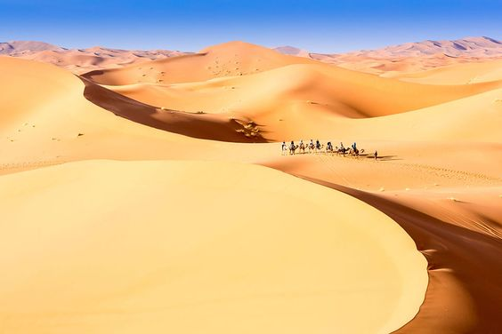 TelemetricoF1's tweet photo. Como sigue el calendario?
Se viene un sprint final en el desierto! 🐪
https://t.co/qpXAcududf
#F1 #F12020 #f1ap #telemetricof1 https://t.co/NR5bLNvSda