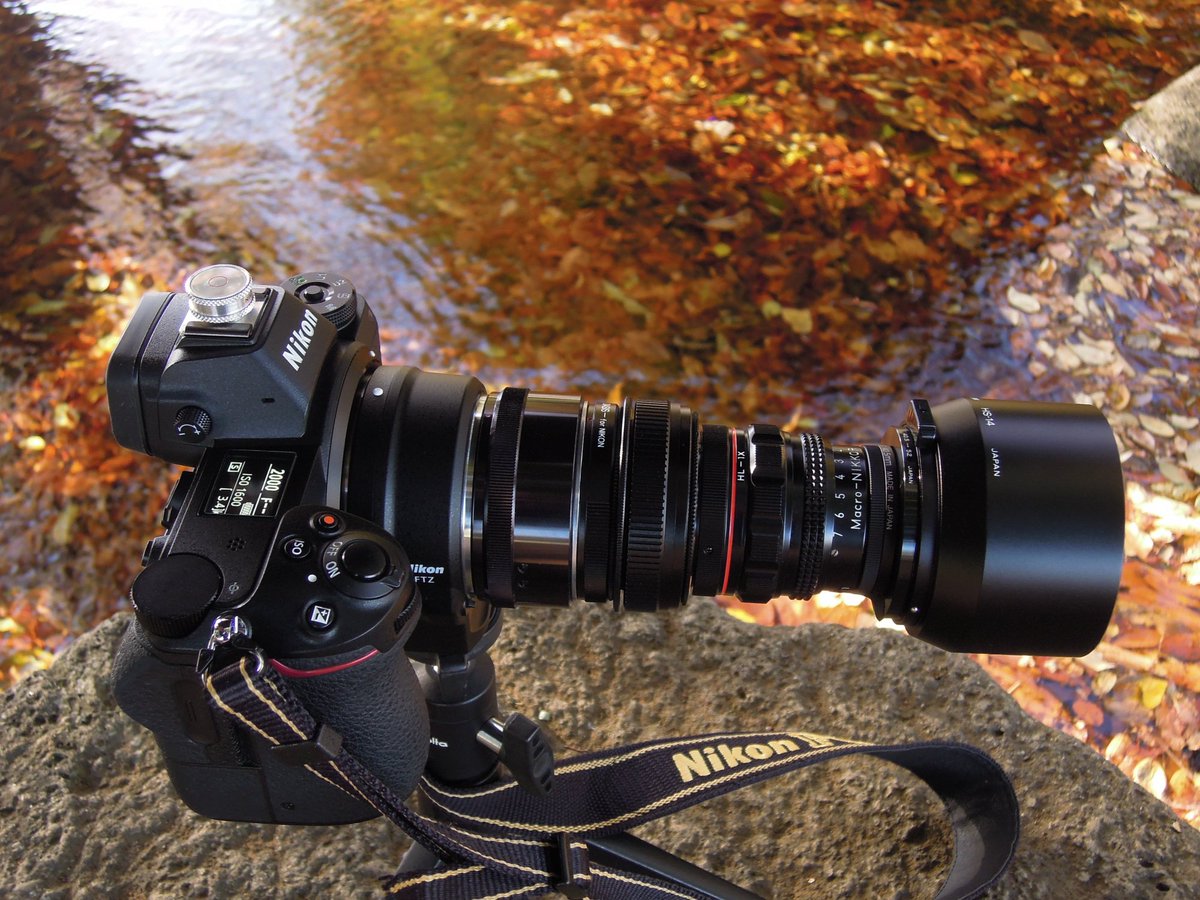 ホットシューカバー