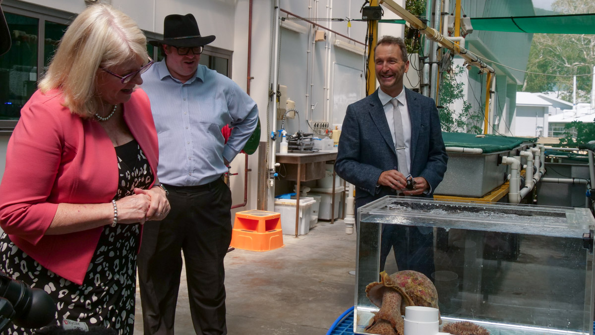 aims_gov_au's tweet photo. The Australian Government is funding the expansion of the National Sea Simulator as part of the 2020 Research Infrastructure Investment Plan.

We were delighted to welcome @karenandrewsmp and George Christensen MP to @SeaSim_AIMS today.

Learn more: https://t.co/lr9Ih5zZRi https://t.co/VHtTpzt4e5