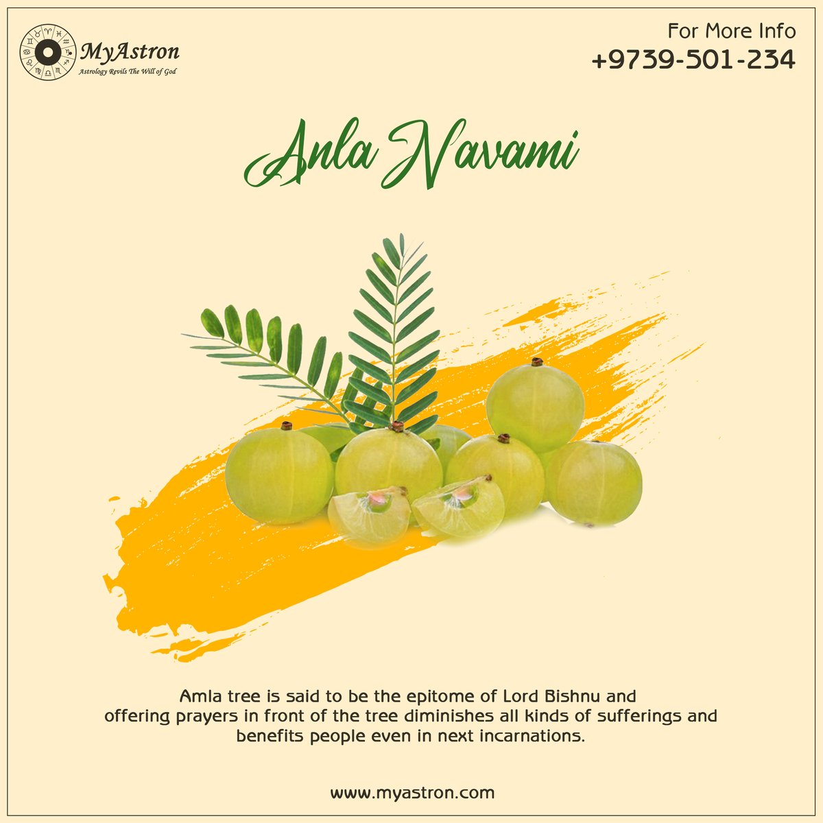 myastron's tweet photo. On this auspicious day, worshiping the Indian gooseberry tree and sitting under it and taking food, it brings blessings of happiness and prosperity. Happy Amla Navami To All!

#myastronastrology #astrology #astrologyservice #आंवलानवमी2020 #आंवलानवमी https://t.co/RFzlV7y7Ho