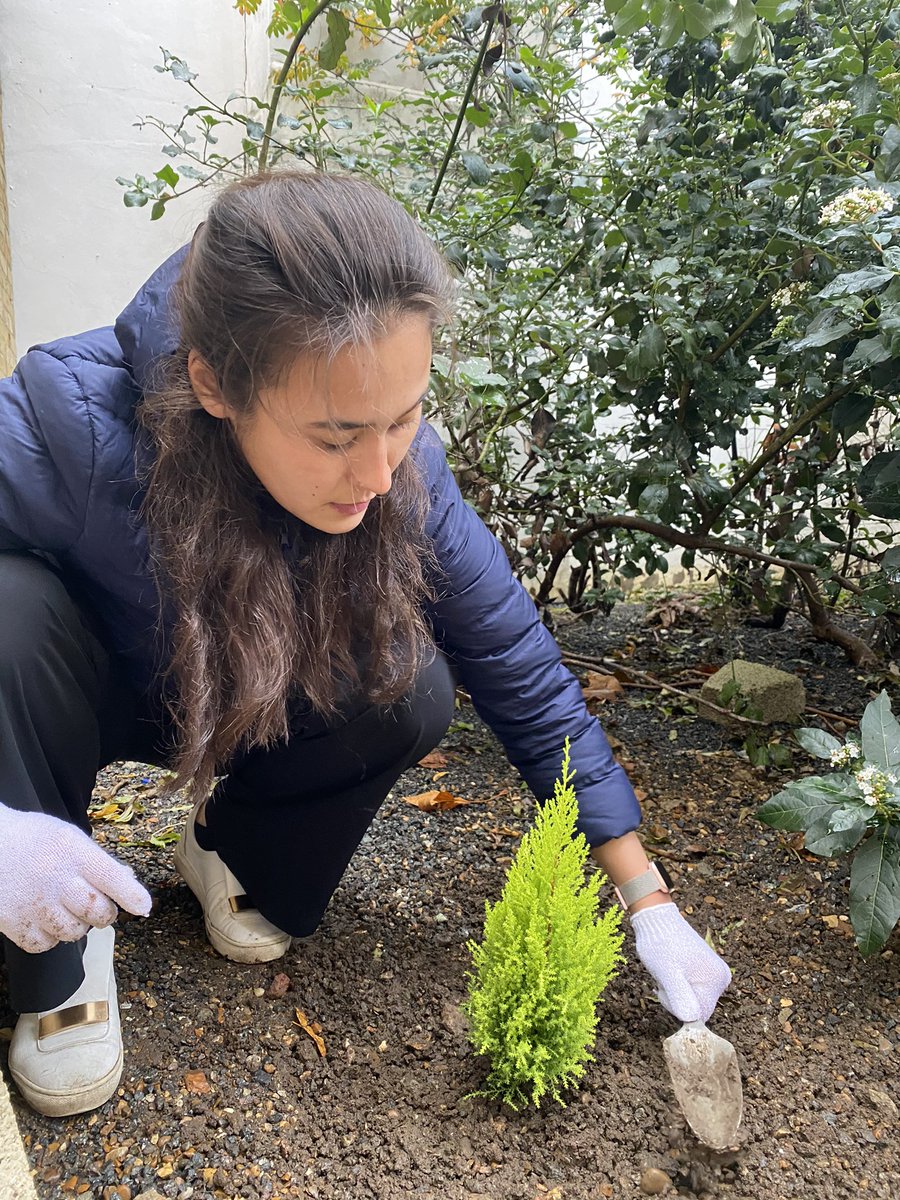 EBRD's tweet photo. Welcome to our #GreenWeek. #EBRDfamily has already started #EBRDtree challenge. Join them and plant a tree 🌲
#EBRDgreen https://t.co/DQV6ssAM1g
