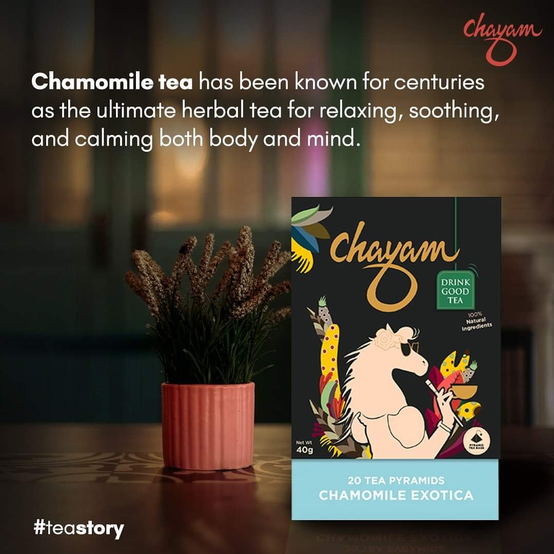 ChayamTea's tweet photo. Chamomile tea is loaded with antioxidants that may play a role in lowering your risk of several diseases, including heart disease and cancer.
Have you tried Chayam Chamomile Exotica?

If not, Visit now
https://t.co/ORbXPR4SvW

#ClassicTea #HealthyLifestyle #TeaBlends #chayamtea https://t.co/rTjlMM9LPH