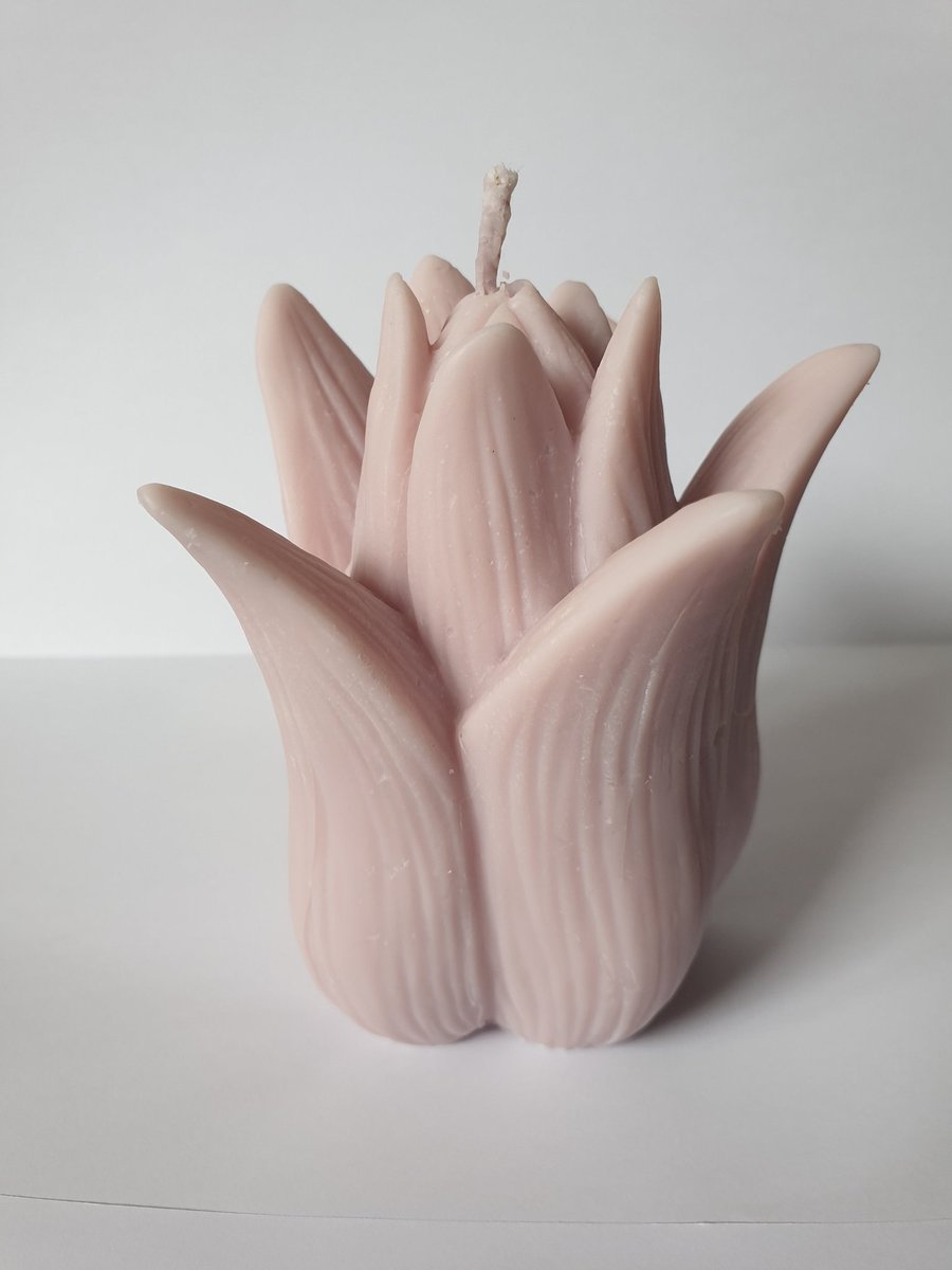 vegan_candles's tweet photo. looking for a gift thats a little bit different? why not buy this Large flower candle, available in a range of fragrances and colours #birthday #mothersday #soy #bedroom #candle #gift #vegan #eco #hcvegancandles https://t.co/wZk8bJdTQR https://t.co/aUzHhwkXjf