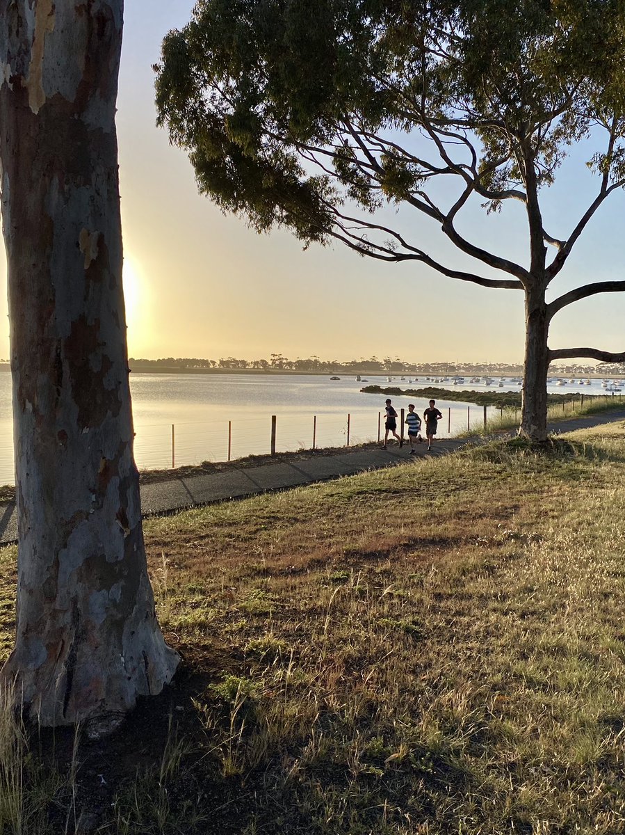 petesherwin's tweet photo. Our running club is fabulously well attended each Tuesday and Friday morning. And no wonder! #RunningClub #BarwonLife https://t.co/BgySz9qOFg