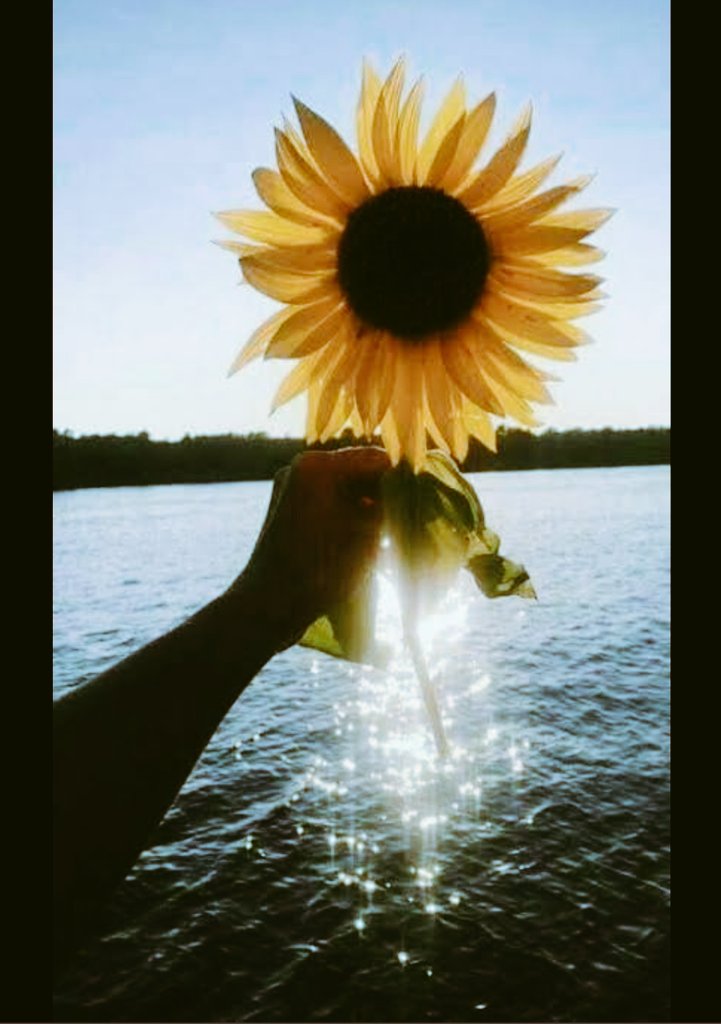 Enjoy your day beautiful people🌻