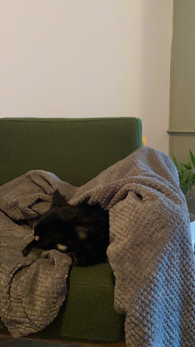shahvmira's tweet photo. If you think you are cold this morning...#WritingCommunity #coldfingers #canttype https://t.co/QVw0o1trdF