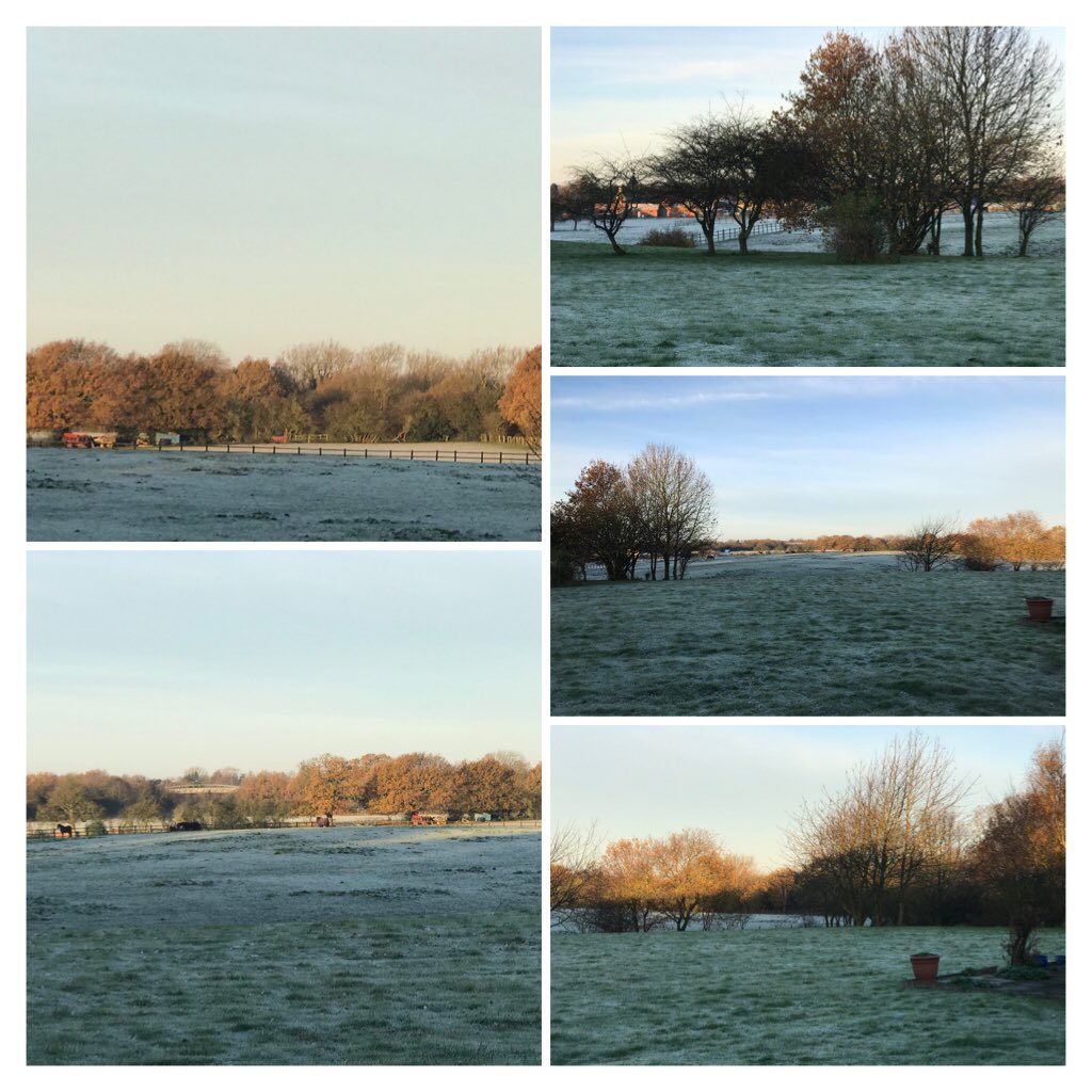 CoalvilleWard1strokeunitLPT tweet media