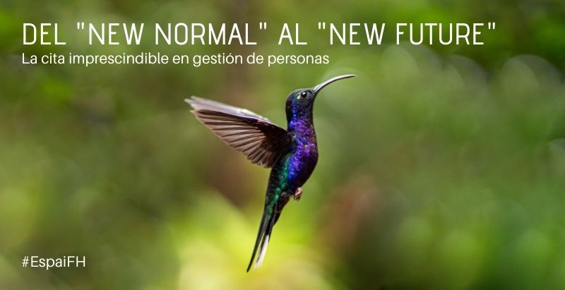 🤓¿Te lo perdiste?🤓
Si quieres recuperar o volver a ver la última edición del #EspaiFH ya está disponible en el canal de Youtube de la <a href="/FundFactorHuma/">Fundació Factor Humà</a> 
👉 youtube.com/user/FundFH/vi…