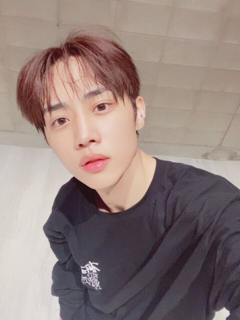 KV 문 tweet media