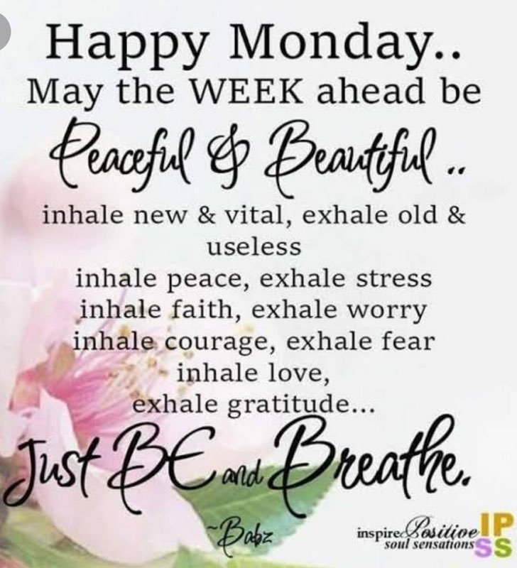 Sue_A_Esfx's tweet photo. Happy Monday! A new week of possibilities and opportunities 💖 

#mondaymotivation #positivevibes #newweek #cashfx #cfx #opportunity #newbeginnings #easysimpleforex #esfx https://t.co/fXOULo45Rw