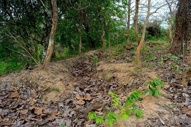 Imphal_Battle's tweet photo. Pictures from White City block at Henu in Northern Burma. It was for his brave action at #whitecity that Lt. George Cairns was awarded a #posthumous #victoriacross during the #chindits #operationthursday in March 1944. Write to us at battleofimphal@gmail.com for battlefield tours https://t.co/x0zvCGo3LJ
