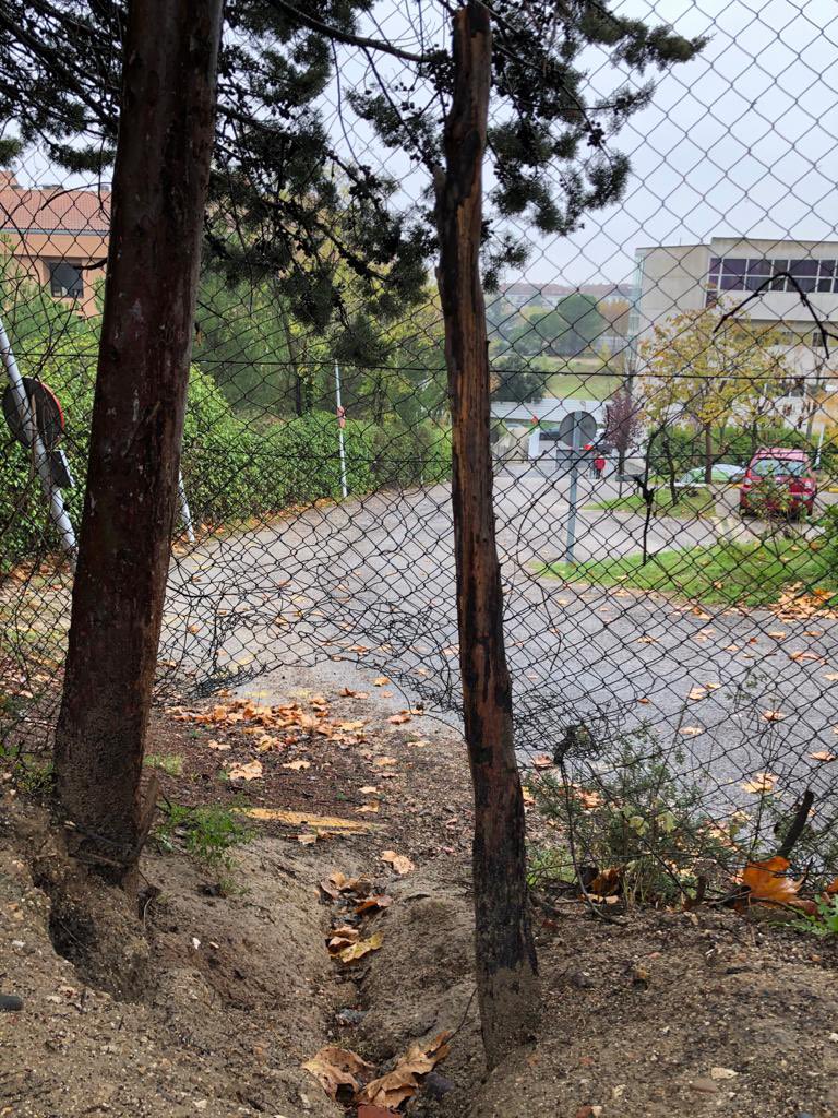gmunozfe's tweet photo. @MajadahondaAyto @alvarezustarroz @MajadahondaM @Majadahonda2016 Así amanece el parque del Cerro del Aire cuando no se cierra y se permiten botellones dentro #Seguridad #Limpieza #Majadahonda https://t.co/SB3LNb1Ez5