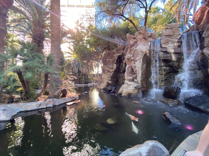 Watch 𝕝𝕖𝕟𝕒's leaked NSFW photo on TwXstars