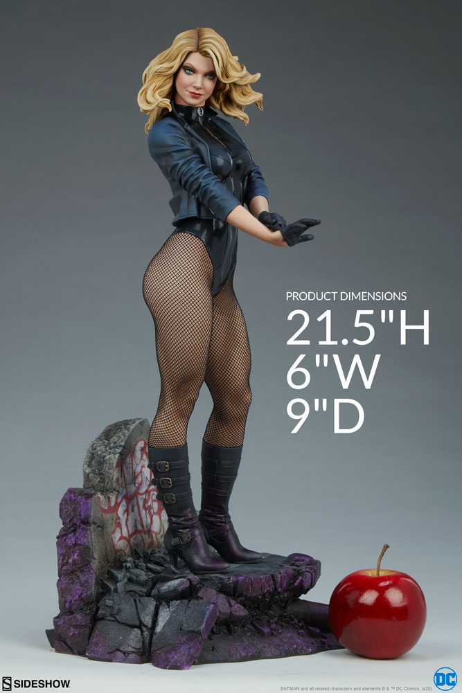 STATUEPLANET's tweet photo. 📢🚨Sideshow DC Comics: Black Canary Premium 1:4 Scale Statue 
Fecha aprox 12/2021
🧡PvP 549€ envío incluido en península🧡 #dccomics #batman #joker #statueforum  #nerdreverse #dxtoys #wearecollectors #maniageek #raddtitan #statue_planet #premiumcollectorsspain #figureworld https://t.co/EvbuXJXcKP