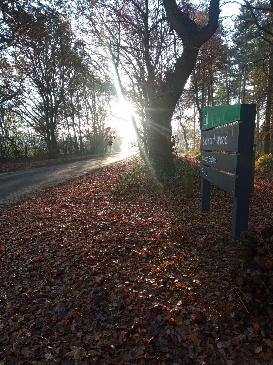 vanhappier's tweet photo. And I'm off! Beautiful morning 😃
.
#H2HChallenge #HomelesstoHomeChallenge #Charity #EndHomelessness https://t.co/adBJDtRTgQ