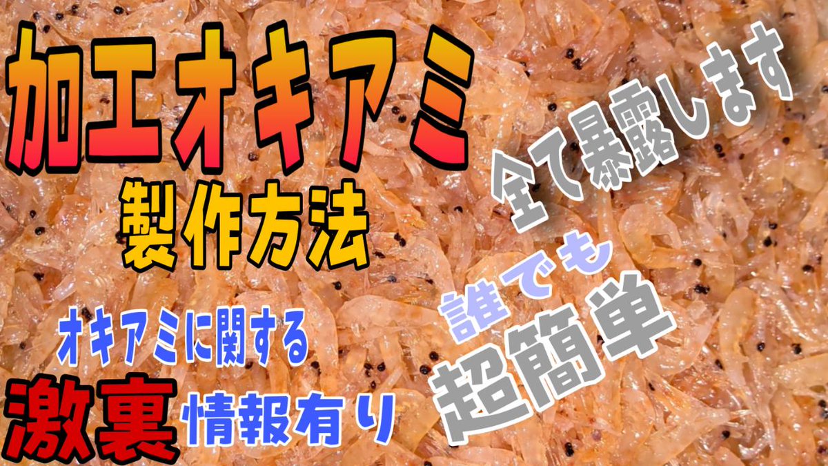 自作加工オキアミ 自作加工オキアミ