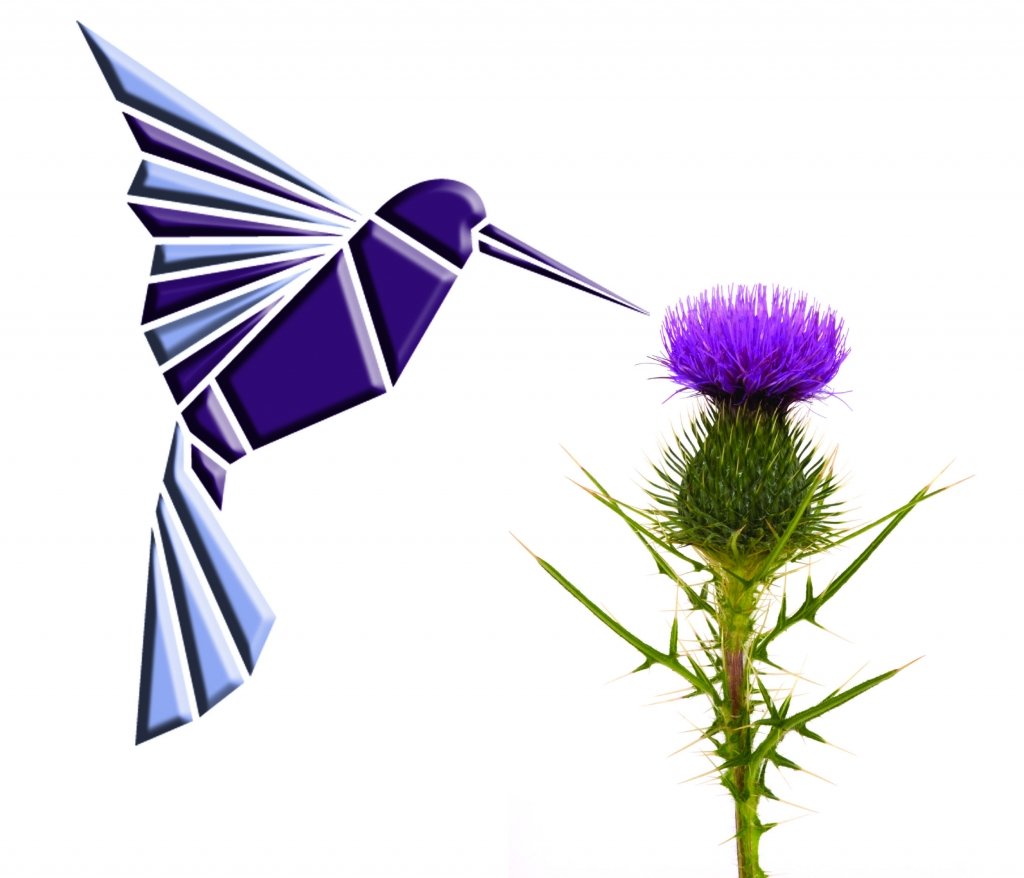 CDSDundee's tweet photo. So just what is it about the hummingbird? The idea has become a synonymous and iconic image to those familiar with the Capital story... https://t.co/LSTFc6ug47 @EwenGallie @noremacpix @PaulMacandrew 8 @markharvie1 @Cocomac5 @AlexanderMain @CapDocSolutions @CDSDundee

 #Bird https://t.co/qrW2SewPIb