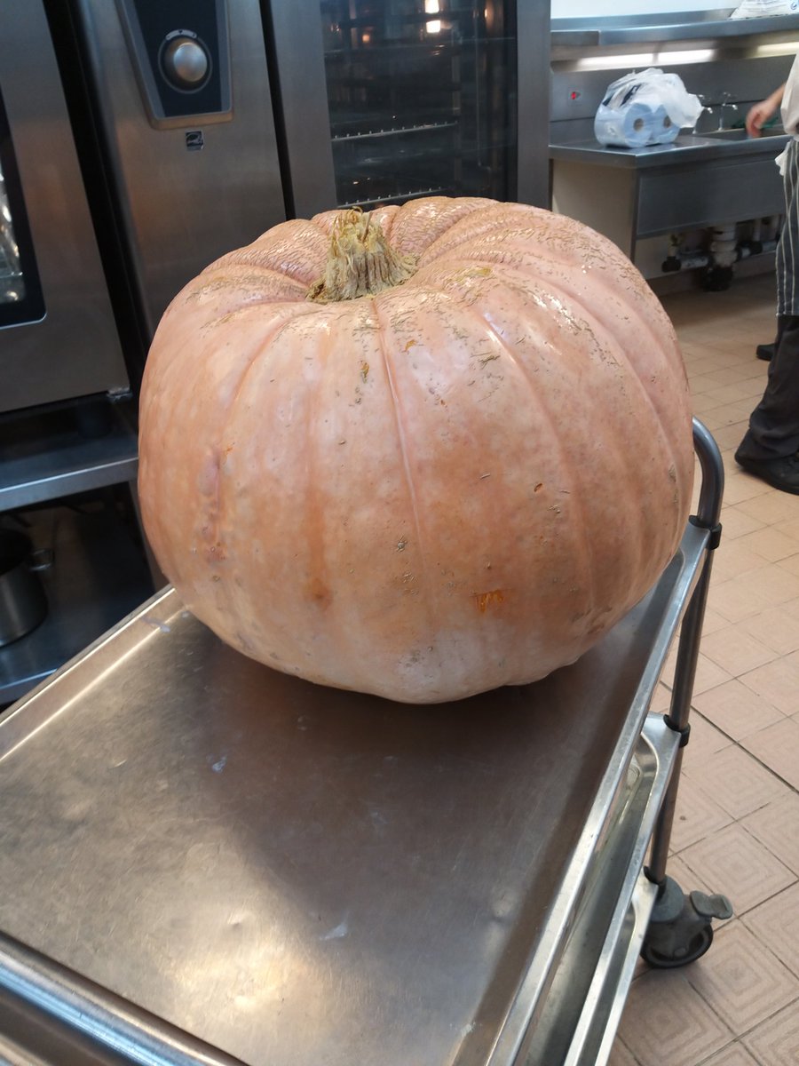 When your allotment neighbour offers you a pumpkin that will feed every student this week.