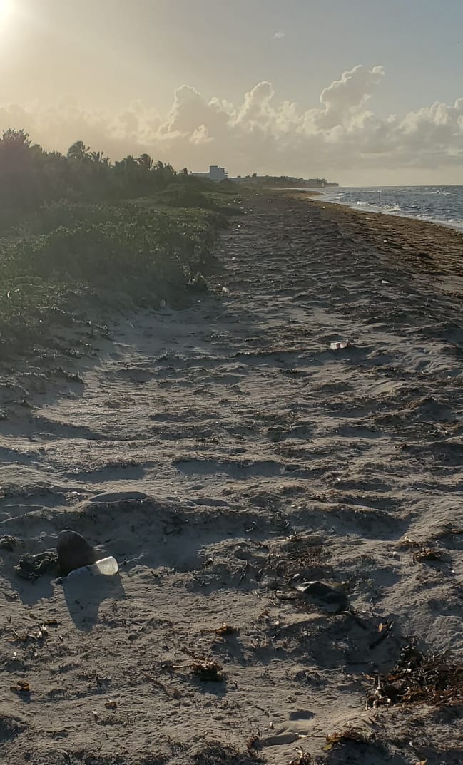 capeto95's tweet photo. Basura en la playas de Telchac @MauVila https://t.co/eoBjcxGWER