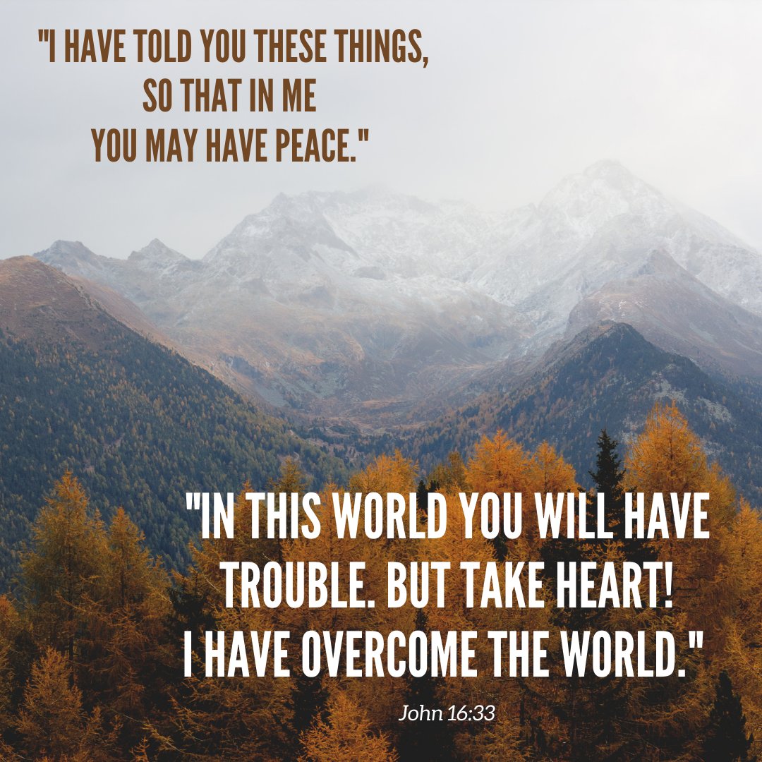 Phil's Friends tweet media