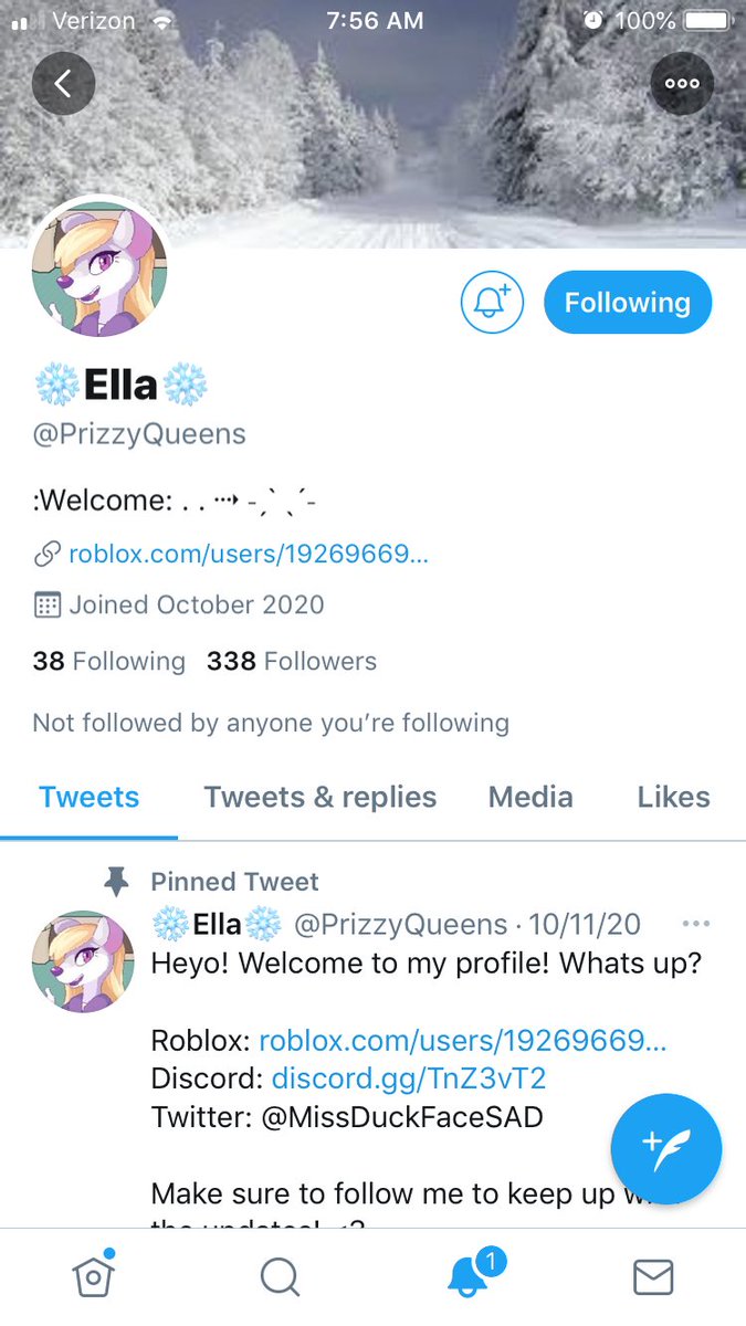 Mollytharp0's tweet photo. @PrizzyQueens @BitchyCatzHate My dream halo is any halo pretty much lol @Maya_643 https://t.co/gM8VjilT5v