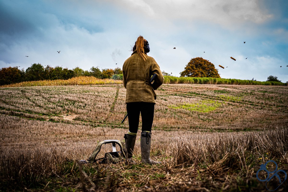 bluefieldsports's tweet photo. Who else loves a target-rich environment?!⁣

#bluefieldsports #fieldsports #firearmphotography #gunphotography #shotgun #12bore #12gauge #pheasant https://t.co/SKwJh2Hkjf