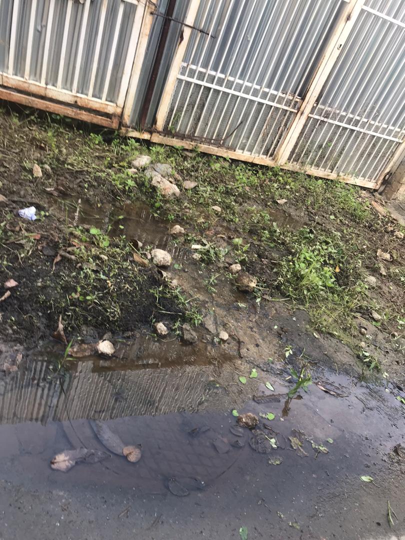 ASOPRONARVE's tweet photo. @AlcaldiaBaruta @darwingonzalezp @luisaguilarj @miguelcastejone nuevamente solicitamos su colaboración para la reparación de un bote de aguas blancas en nuestra urbanización, el mismo ha Sido reportado a @HidroCapital2  pero aún no hay respuesta. https://t.co/WXug7VctQ8
