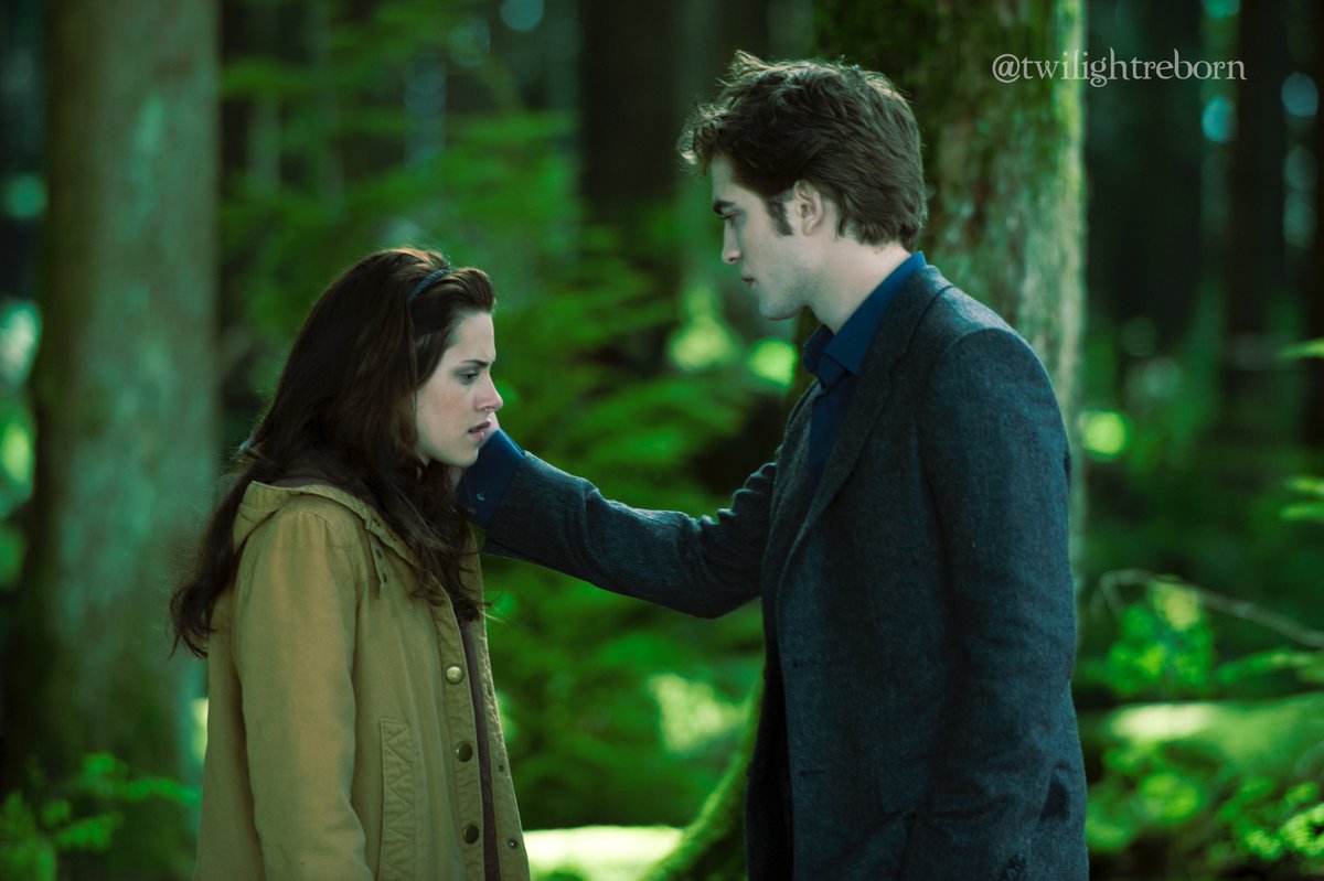 we could have had it all if catherine hardwicke was involved