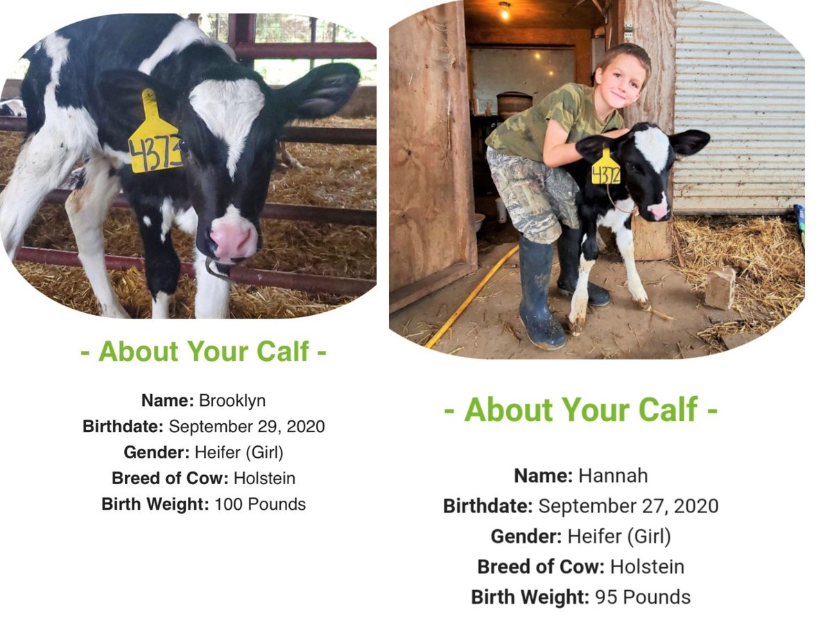 Magnet Coordinator, Dillard Drive Magnet Middle tweet media