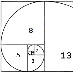 NLCarolynMuse's tweet image. Today (November 23rd or 1,1,2,3) is #FibonacciDay.  #GoldenRatio #naturescode