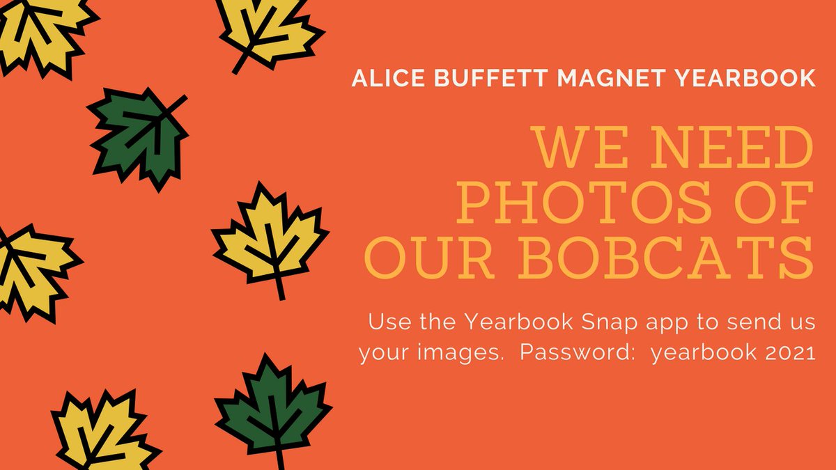 Buffett Yearbook tweet media