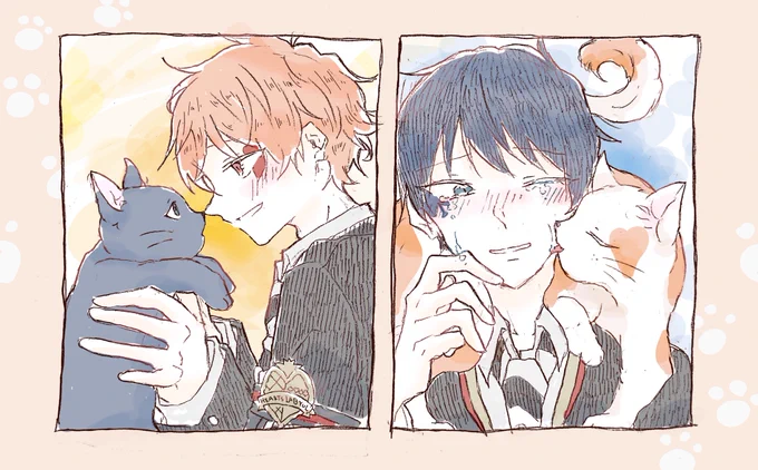 エスデュと猫 