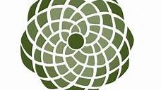 NLCarolynMuse's tweet image. Today (November 23rd or 1,1,2,3) is #FibonacciDay.  #GoldenRatio #naturescode