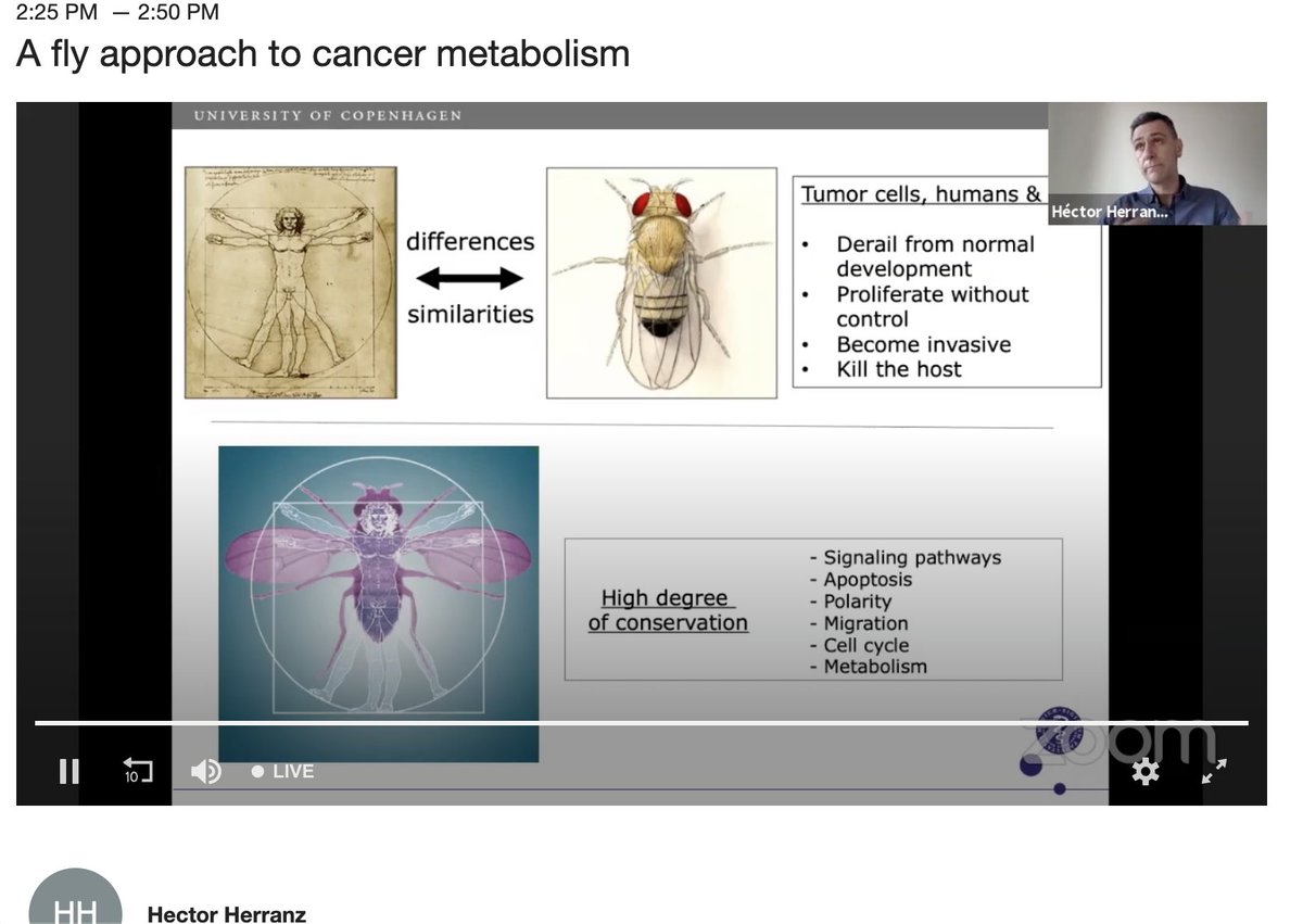 CIBSS_UniFR's tweet photo. Cancer metabolism research in #Drosophila #fruitflies? There are a lot of similarities to human cancers! Great talk by @hectorherranz at #Acrossscales2020 https://t.co/BZrJJb9B42