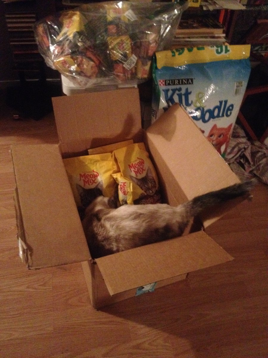 BeemanJay's tweet photo. Unboxed food donations for the stray/feral street cats of the West Phoenix Flophouse & Kibble Kitchen For Wayward Felines. Thank you to all who help support the cats-it makes a huge difference in their lives. #TNR #Cats #CatsOfTwitter #Sproing https://t.co/gEvPdvLkE8