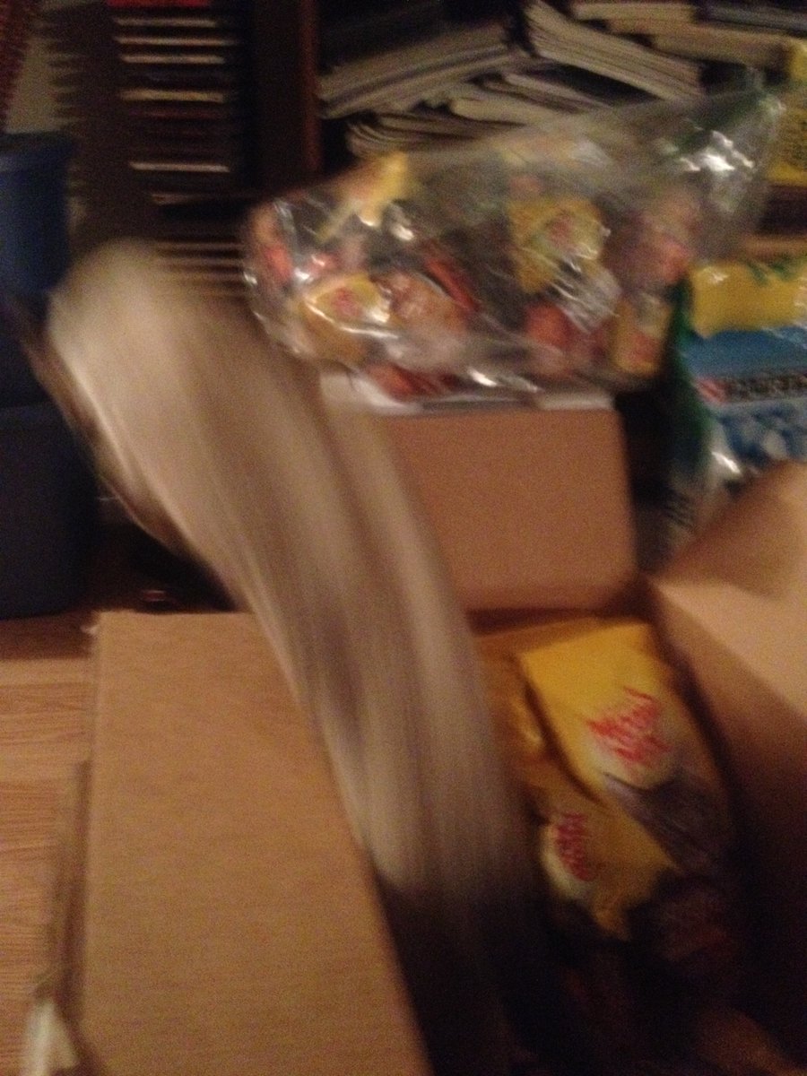 BeemanJay's tweet photo. Unboxed food donations for the stray/feral street cats of the West Phoenix Flophouse & Kibble Kitchen For Wayward Felines. Thank you to all who help support the cats-it makes a huge difference in their lives. #TNR #Cats #CatsOfTwitter #Sproing https://t.co/gEvPdvLkE8