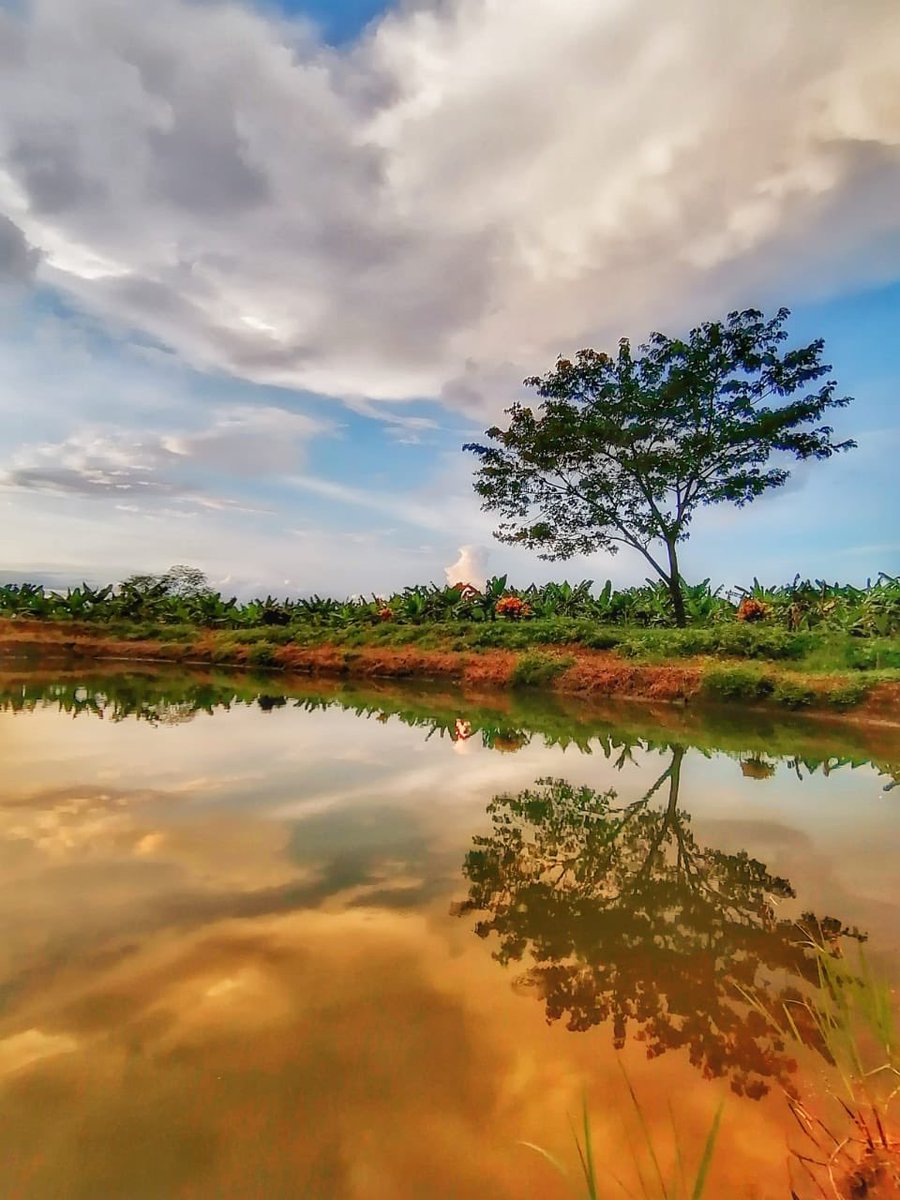¿Qué tal estas postales que nos regala #Caucasia? Por estos días hemos estado contando historias en el Bajo Cauca antioqueño para una producción de la cual te contaremos muy pronto. 🎥