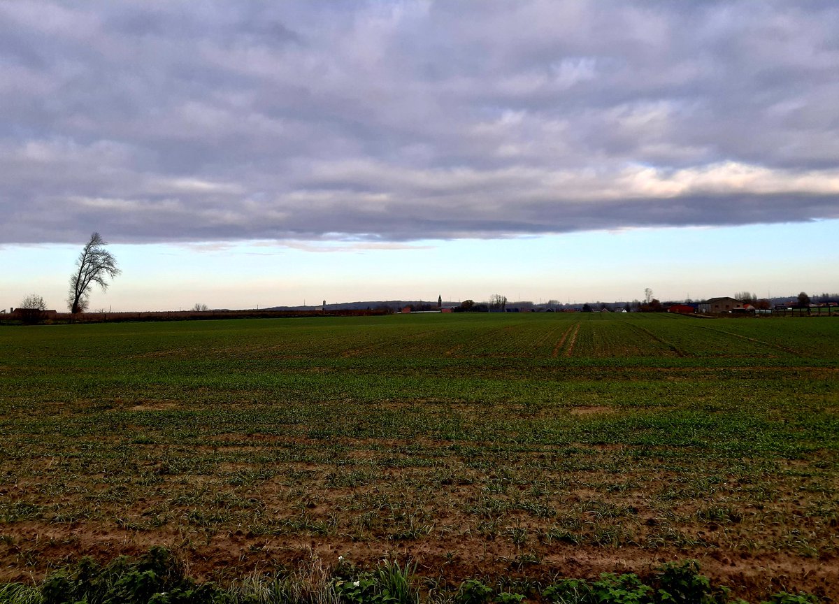 hverhamme's tweet photo. Even het #telewerken doorbreken in ons mooie, landelijke #anzegem https://t.co/mGPXuXSYl0