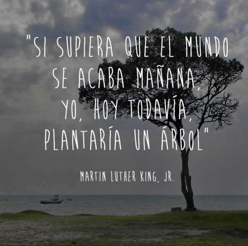Cada día es una nueva oportunidad, y un día a la vez hay q vivirlo al máximo