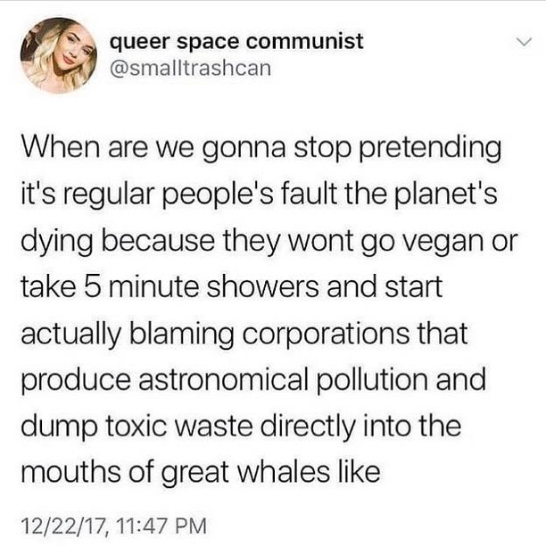 Zero Plastic tweet media