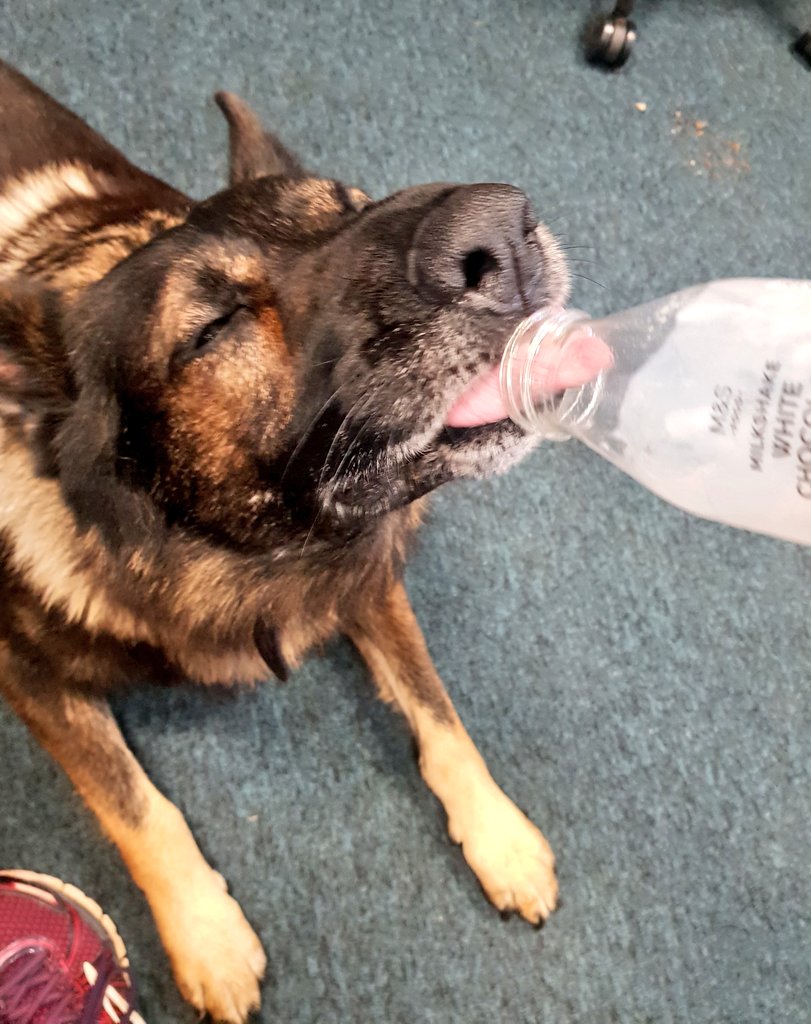 RPD Boz tweet media