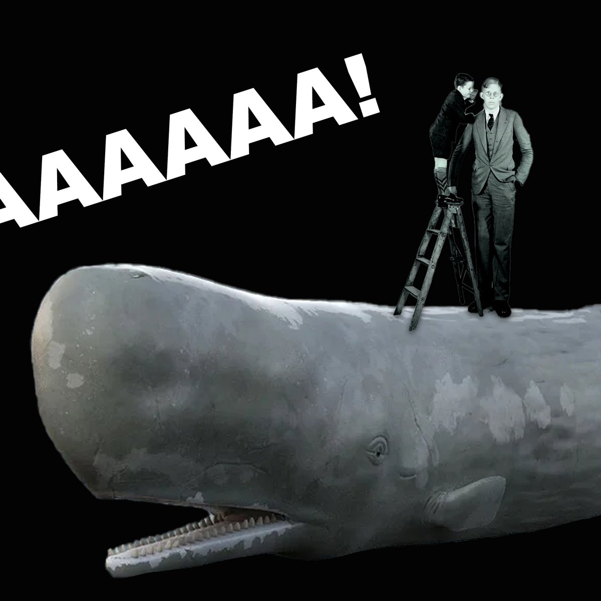 omfgpod's tweet photo. 26-й выпуск!
🐋 про 50-летний юбилей нелепой идеи взорвать тушу кашалота,
😱 о кинокрике Вильгельма,
🙋 про самого высокого человека.

Apple: https://t.co/Yh19rJ4WWc
Google: https://t.co/UVCo0bBkv6
Castbox: https://t.co/hWuUrdtxvH
Яндекс: https://t.co/8DEJOxlNnz https://t.co/FcbB3aaviy