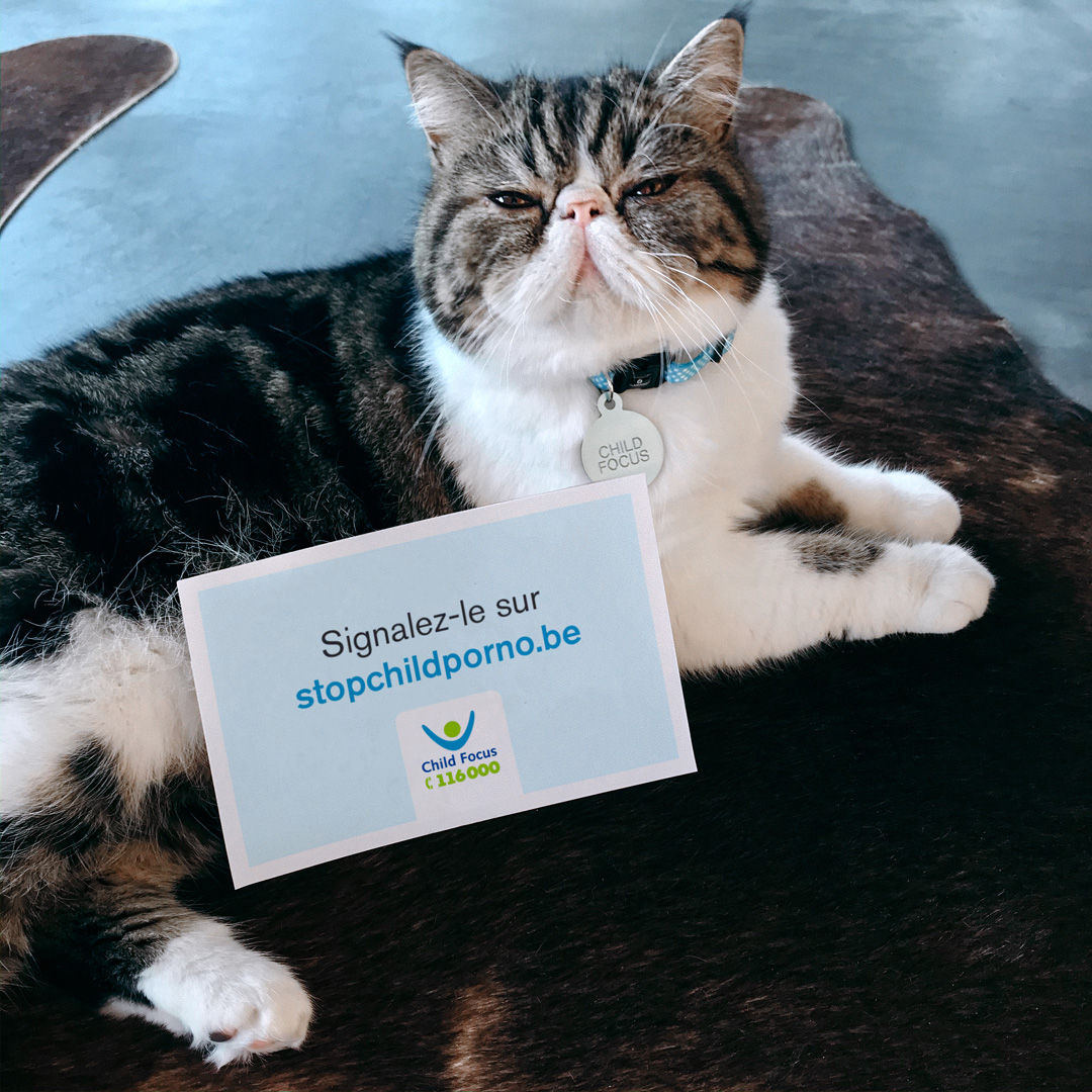 ChildFocusFR's tweet photo. Vous avez rencontré des images d’abus sexuels d’enfants en ligne ? Ne cliquez pas par réflexe : signalez-le sur https://t.co/6XA9R4ROqW #catsforkids #childfocus https://t.co/FgSbgGB9gP