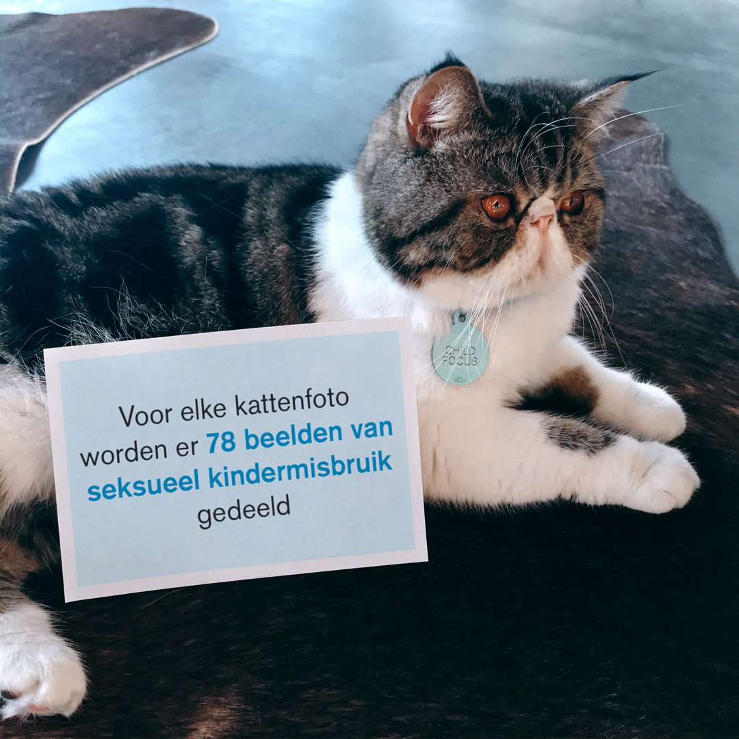 ChildFocusNL's tweet photo. Kom je beelden van seksueel kindermisbruik tegen? Klik dan niet weg uit reflex maar meld het op https://t.co/hMsTBUL890 #catsforkids #childfocus https://t.co/I6iMfqym8T