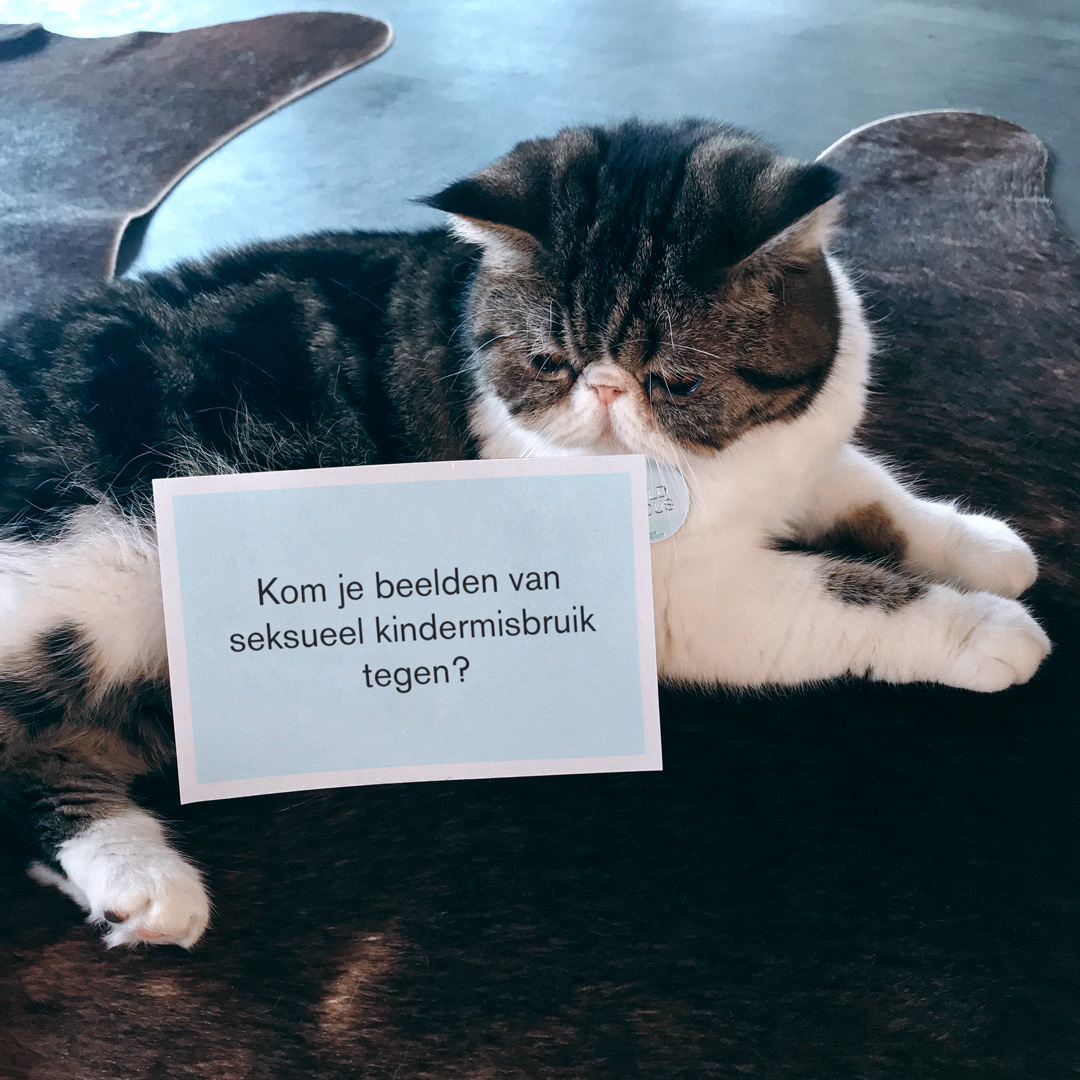 ChildFocusNL's tweet photo. Kom je beelden van seksueel kindermisbruik tegen? Klik dan niet weg uit reflex maar meld het op https://t.co/hMsTBUL890 #catsforkids #childfocus https://t.co/I6iMfqym8T