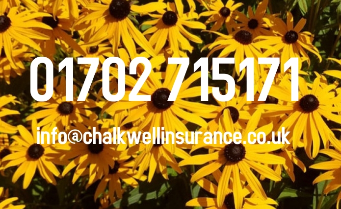 ChalkwellIns's tweet photo. Good morning!

The office door is still closed, but we are here taking your calls, as normal. 

☎️☎️☎️

#lockdown #Lockdown2 #MondayMorning https://t.co/ZrnU0QWzm5